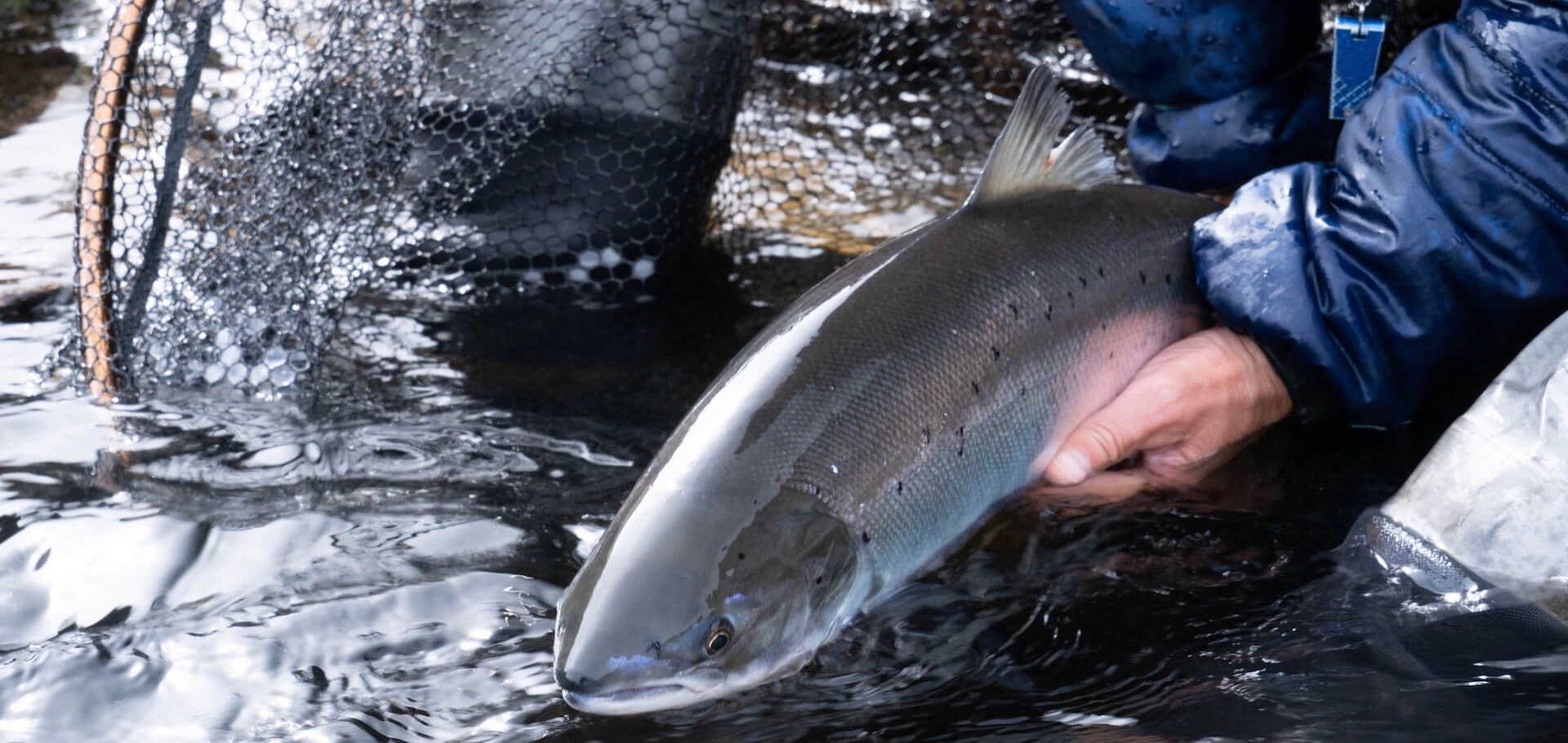 On the eve of the 2024 Scottish salmon fishing season!