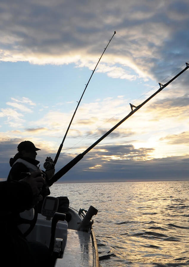 Sea Fishing