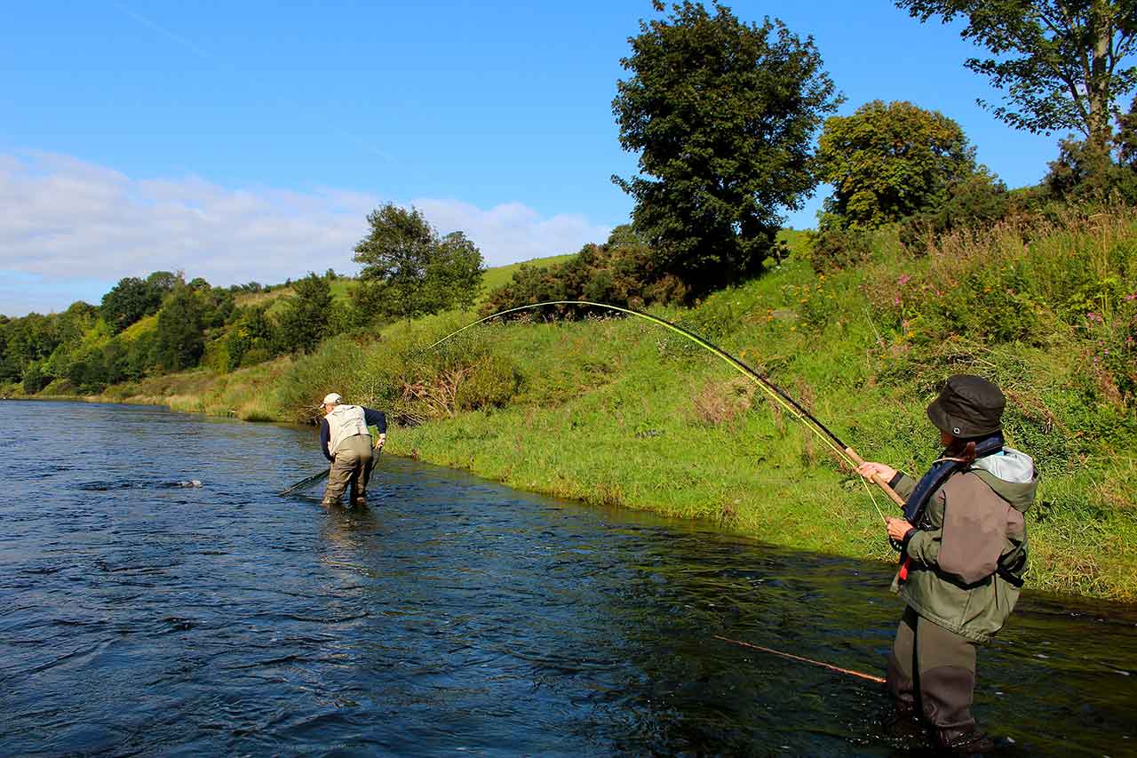 Salmon Fishing in Scotland : Read Our Ultimate Guide