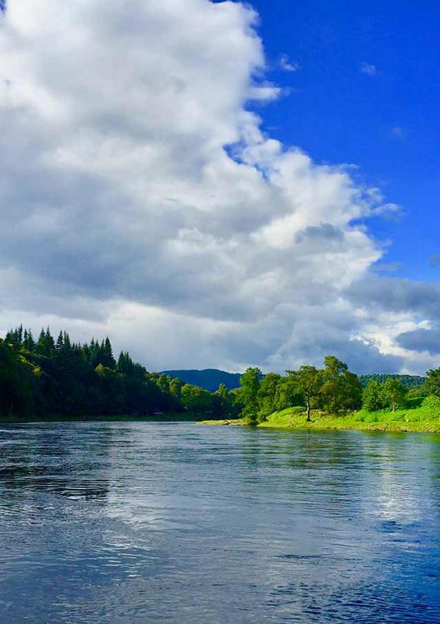 River Tay Salmon Fishing