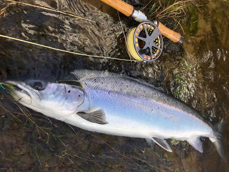 The magic of Atlantic Salmon fishing in Scotland