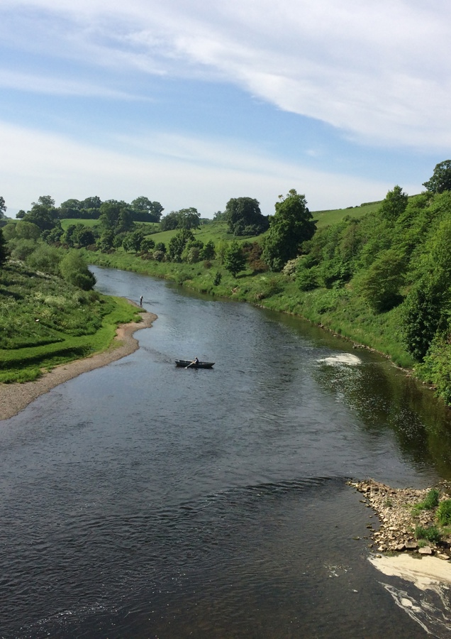 River Tweed 2