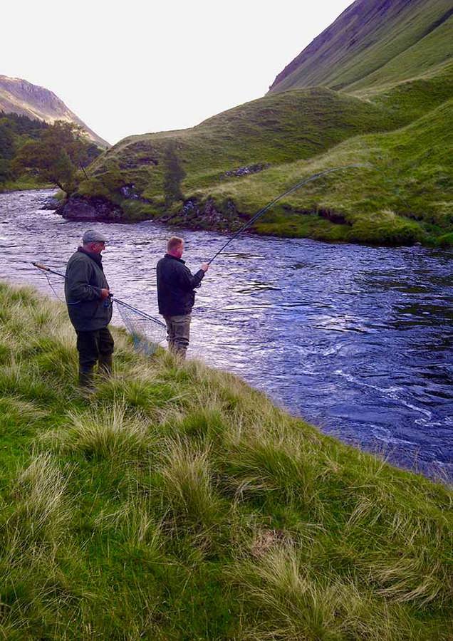 Playing Scottish Salmon