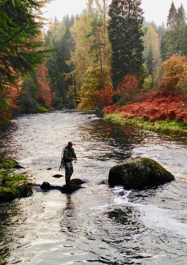Guided Salmon Fishing River Alness