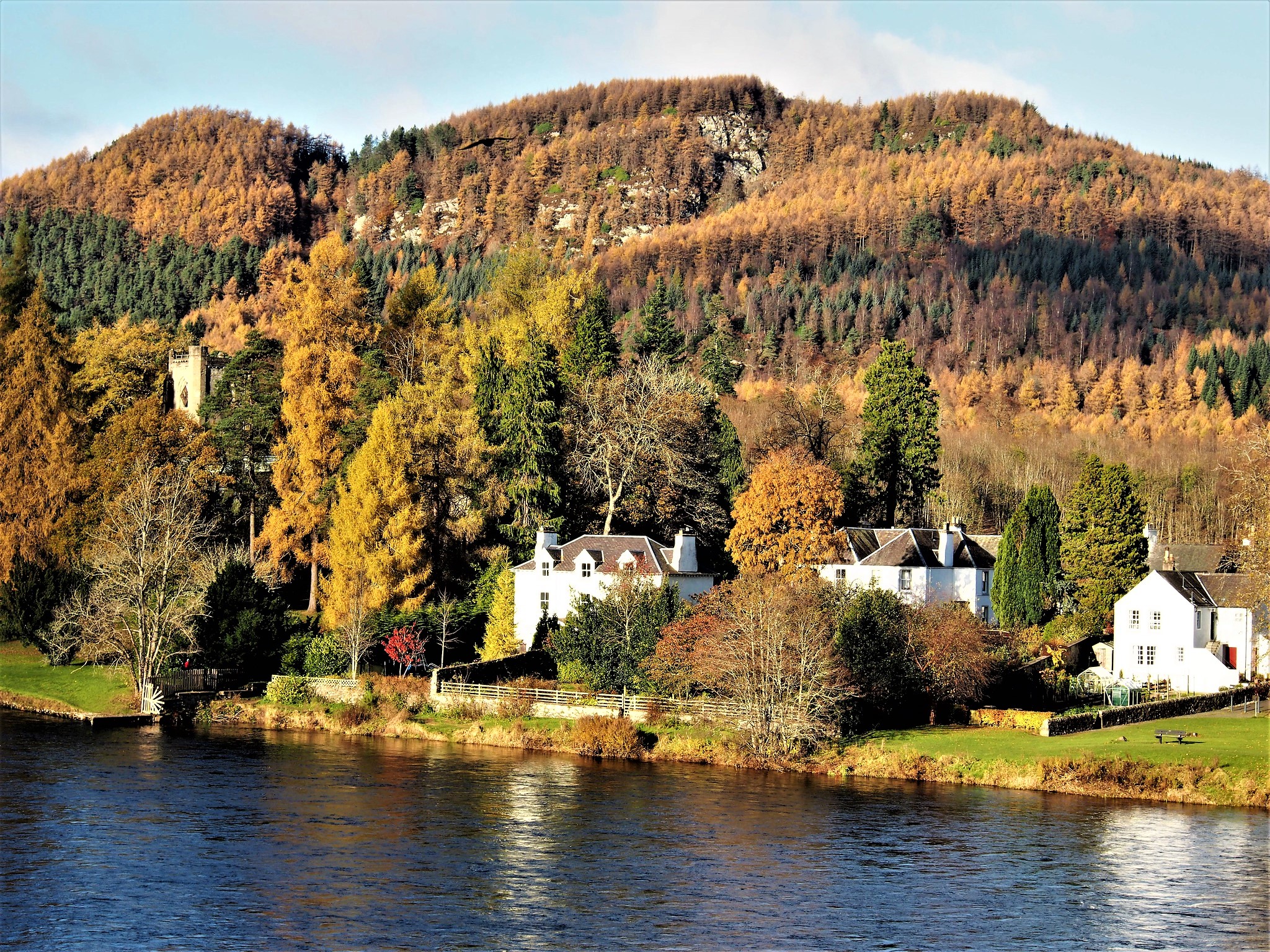 River Tay & Taymount Cottage Spring Salmon Fishing