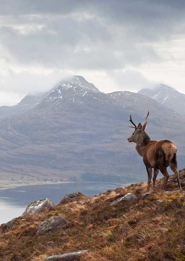 Scottish Highlands Fishing Loch
