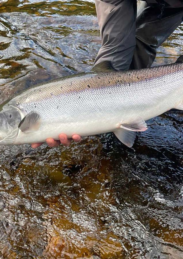 Salmon Fishing Season 2024 1