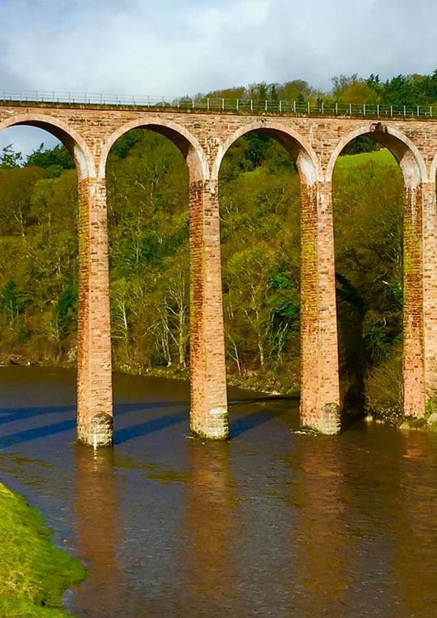 River Tweed Salmon Fishing