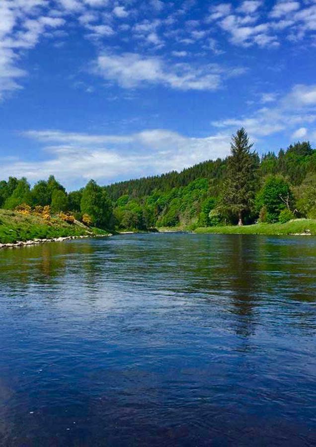 Salmon Pool River Spey