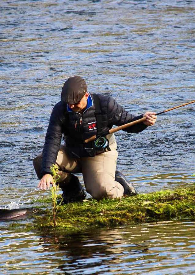 Tailing Scottish Salmon