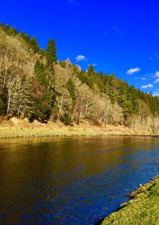 Salmon Fishing Scotland