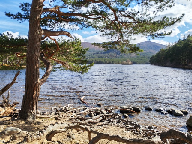 loch-morlich.jpg